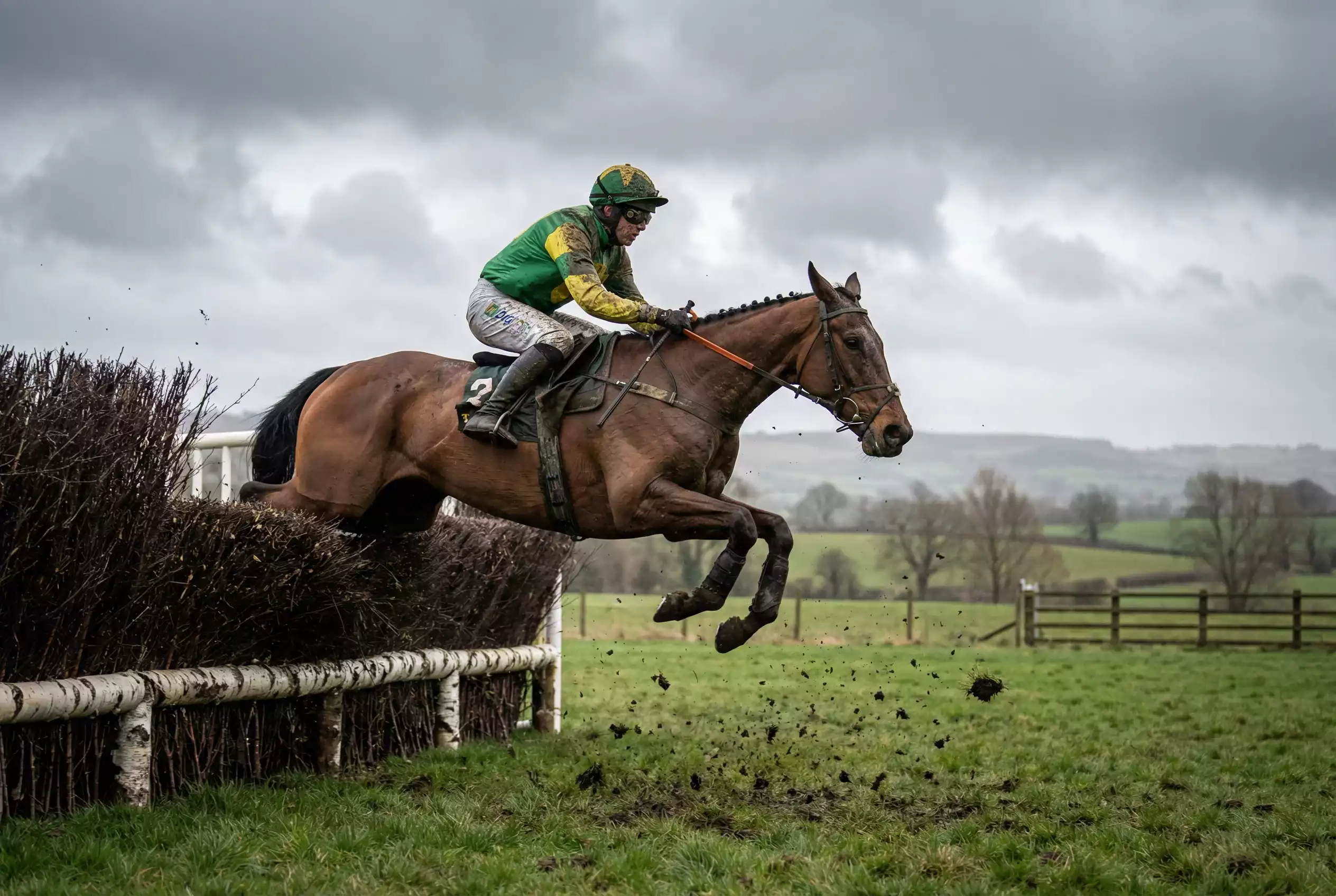 Hindernisrennen Wetten – Pferd springt über Hindernis bei einer Steeplechase