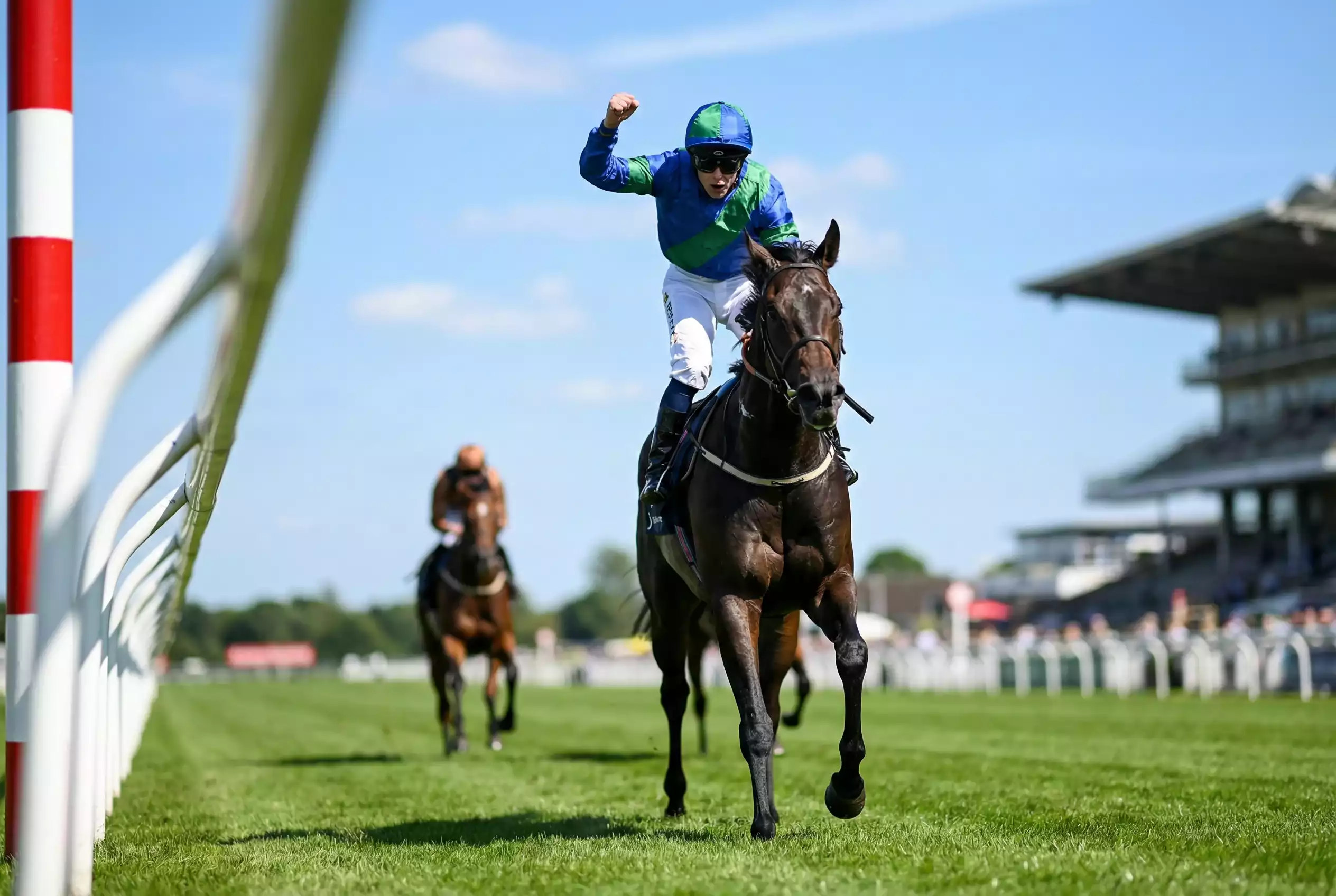 Siegwette Pferdewetten – Rennpferd überquert die Ziellinie als Erster