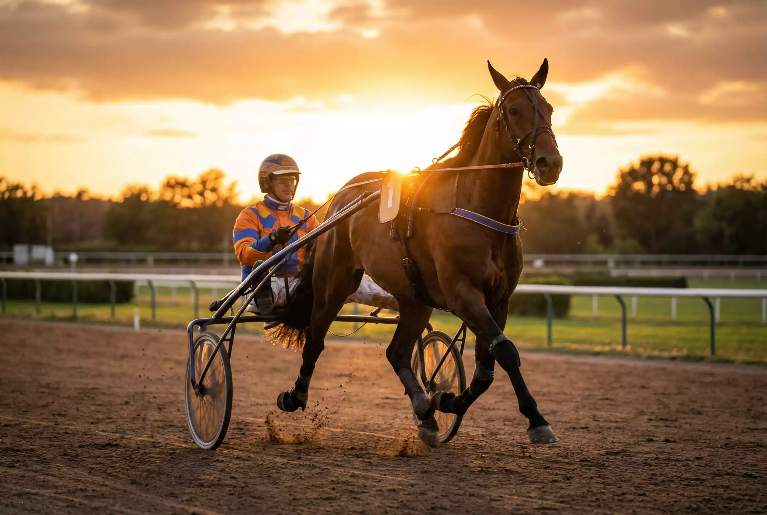 Trabrennen Wetten – Traber mit Sulky auf der Sandbahn